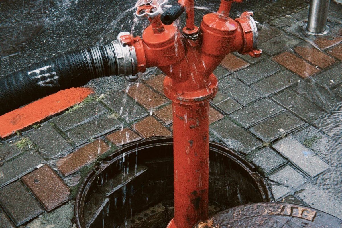 Flood Cleanup service in Huntington Park, CA